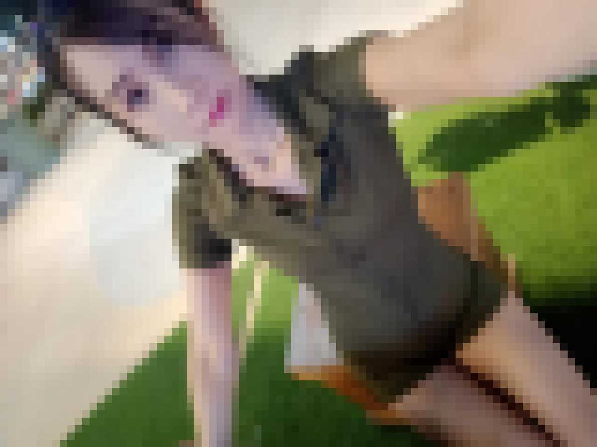 Thai Dating