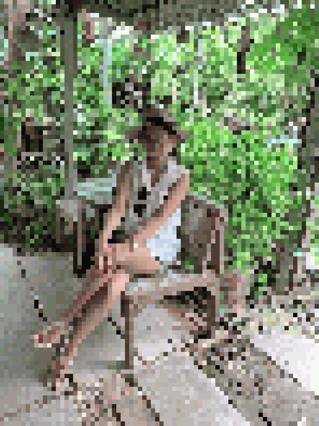 Thai Dating