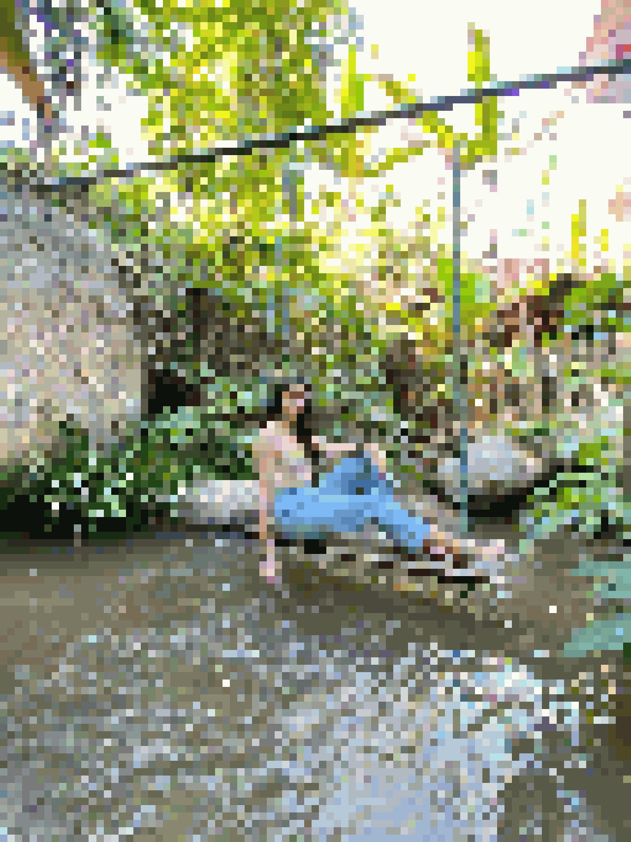 Ladyboy Dating