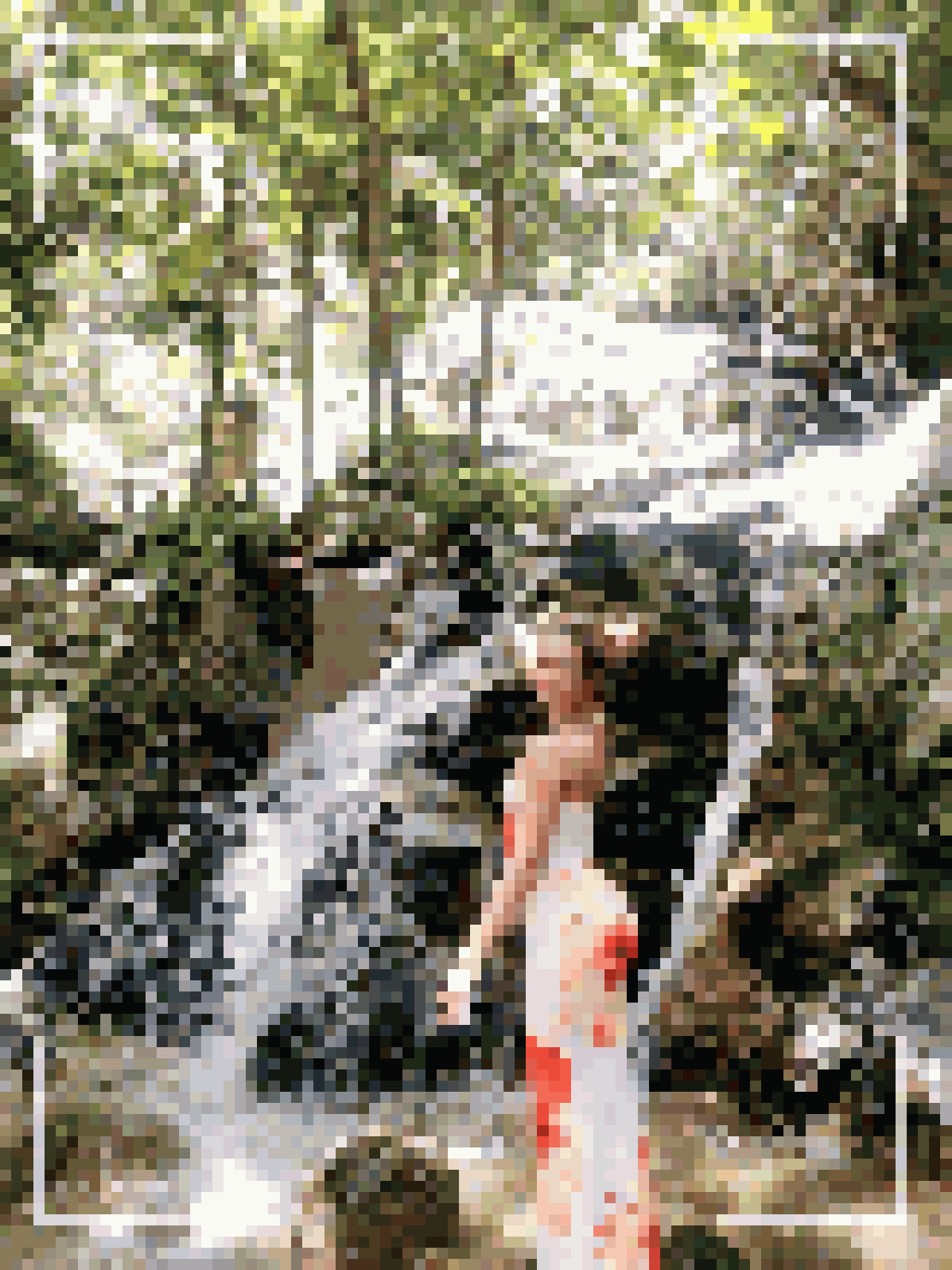 Thai Dating
