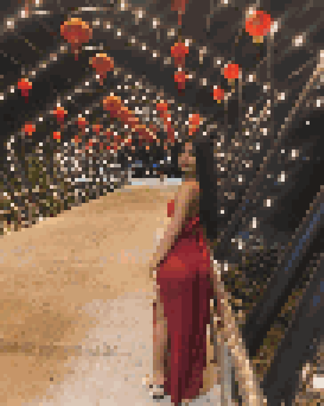 Thai Dating