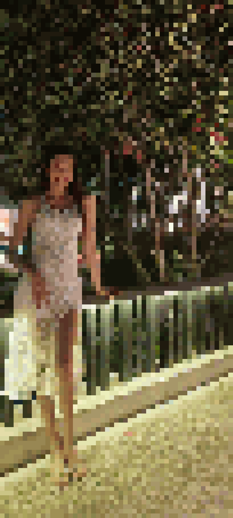 Ladyboy Dating