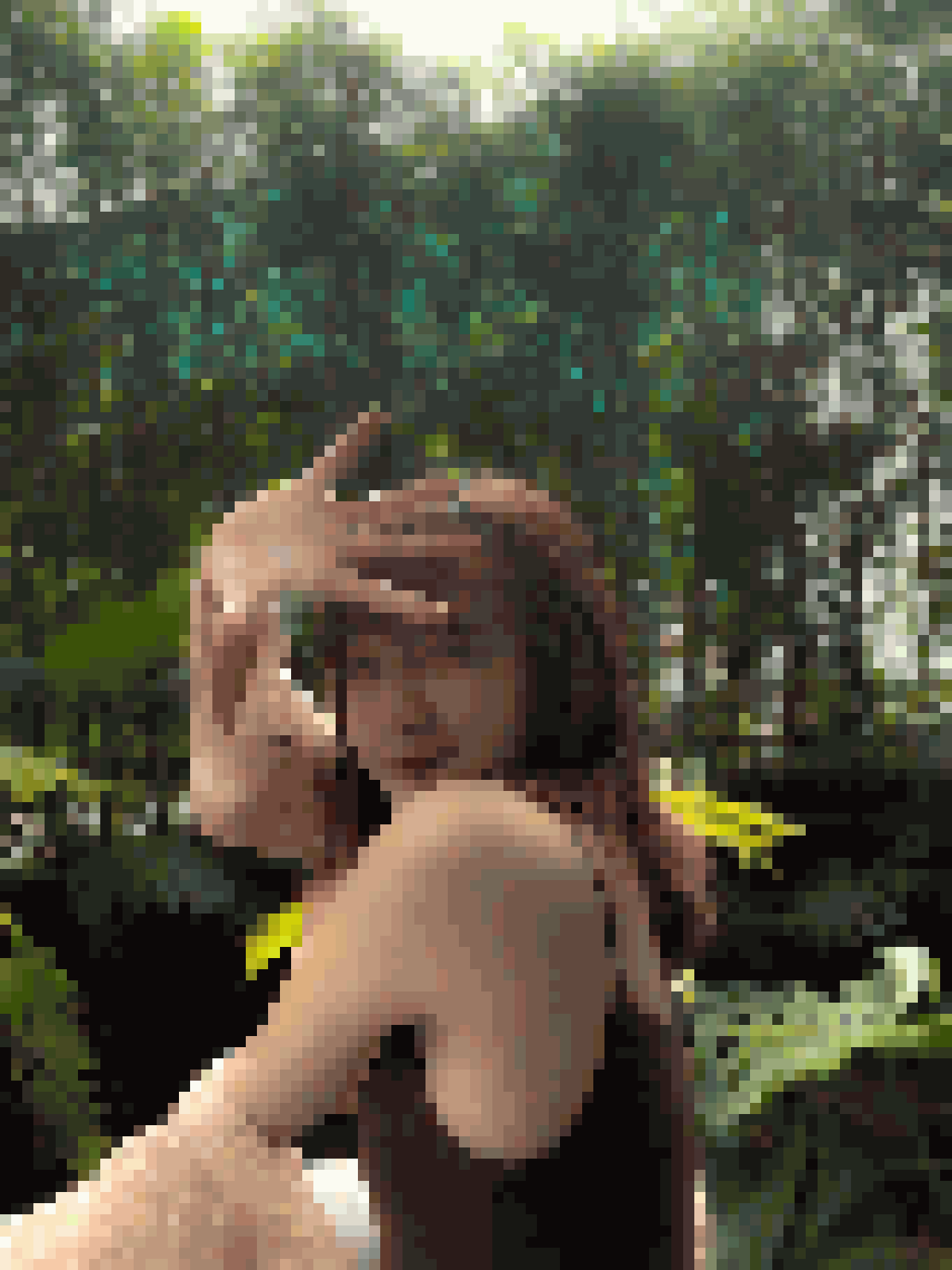 Thai Dating