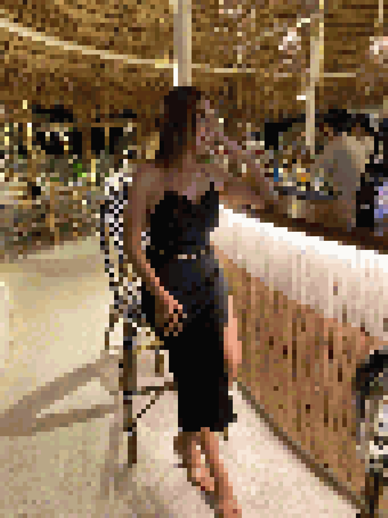 Thai Dating