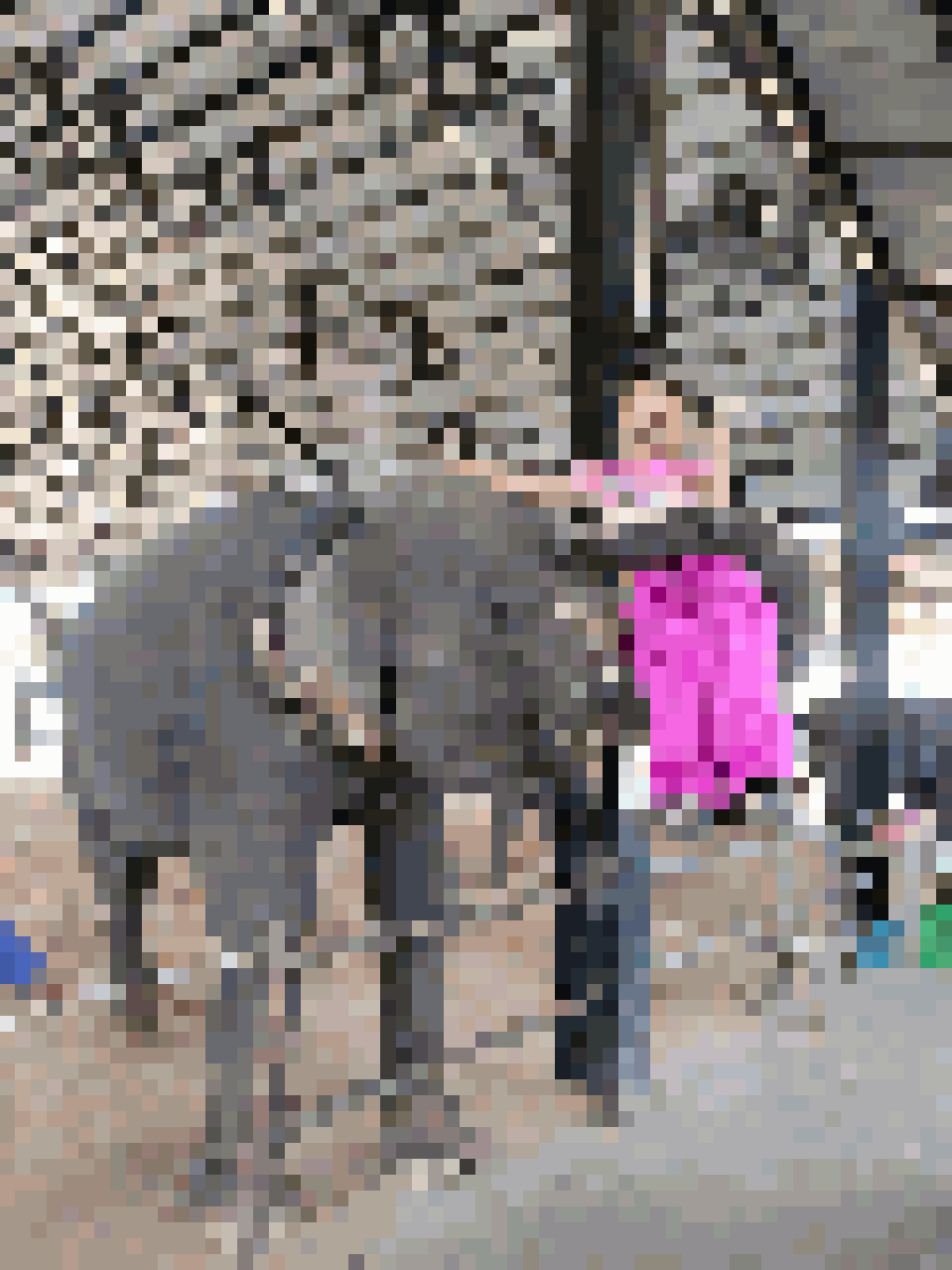 Thai Dating