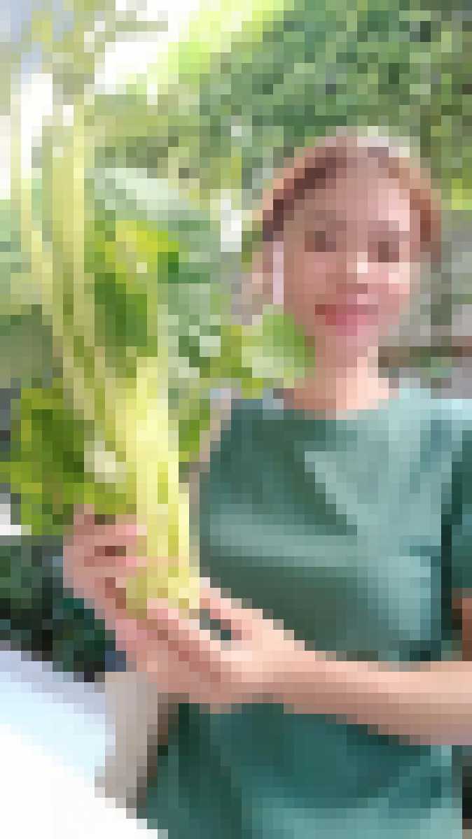 Thai Dating