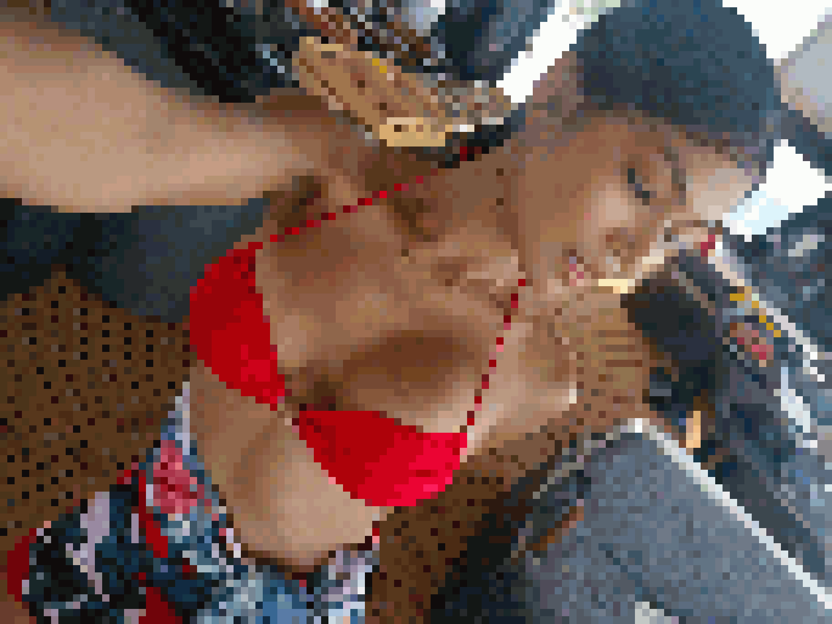 Thai Dating