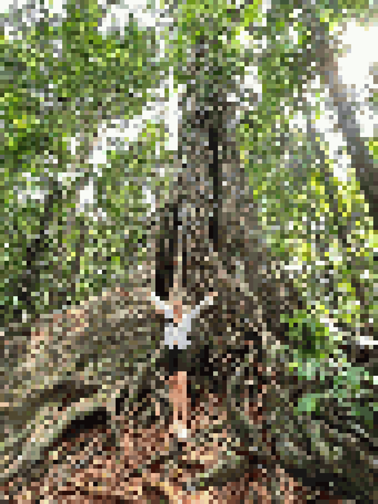 Thai Dating