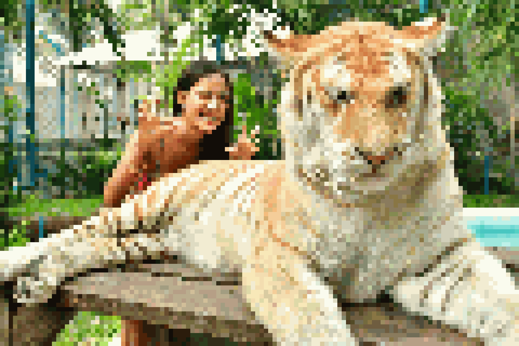 Thai Dating
