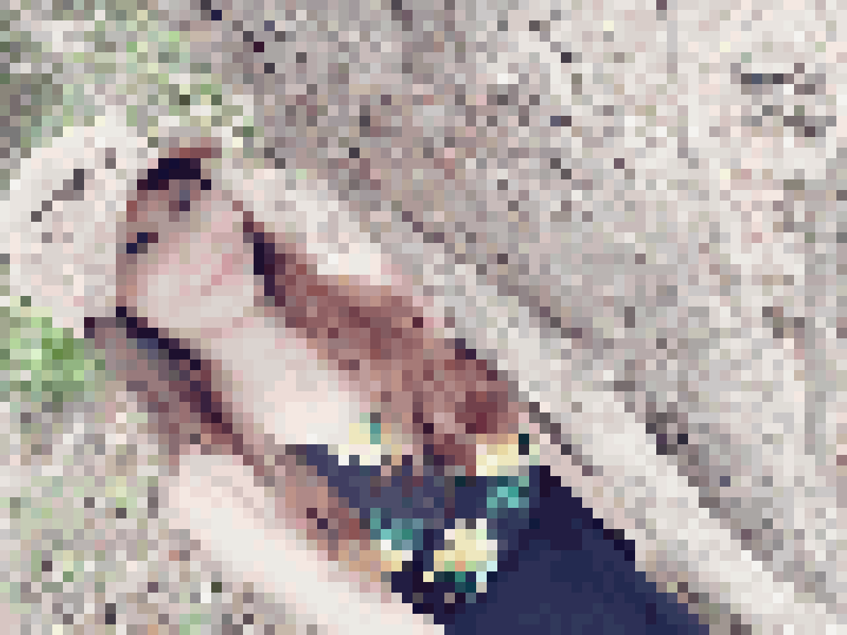 Thai Dating