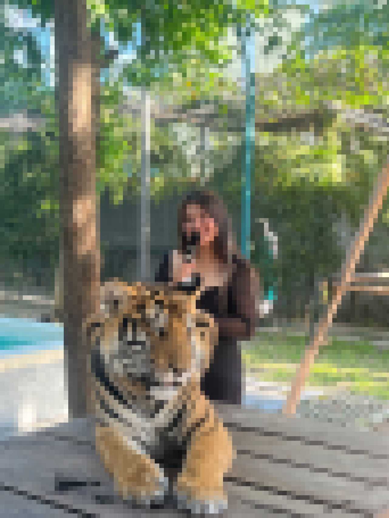 Thai Dating