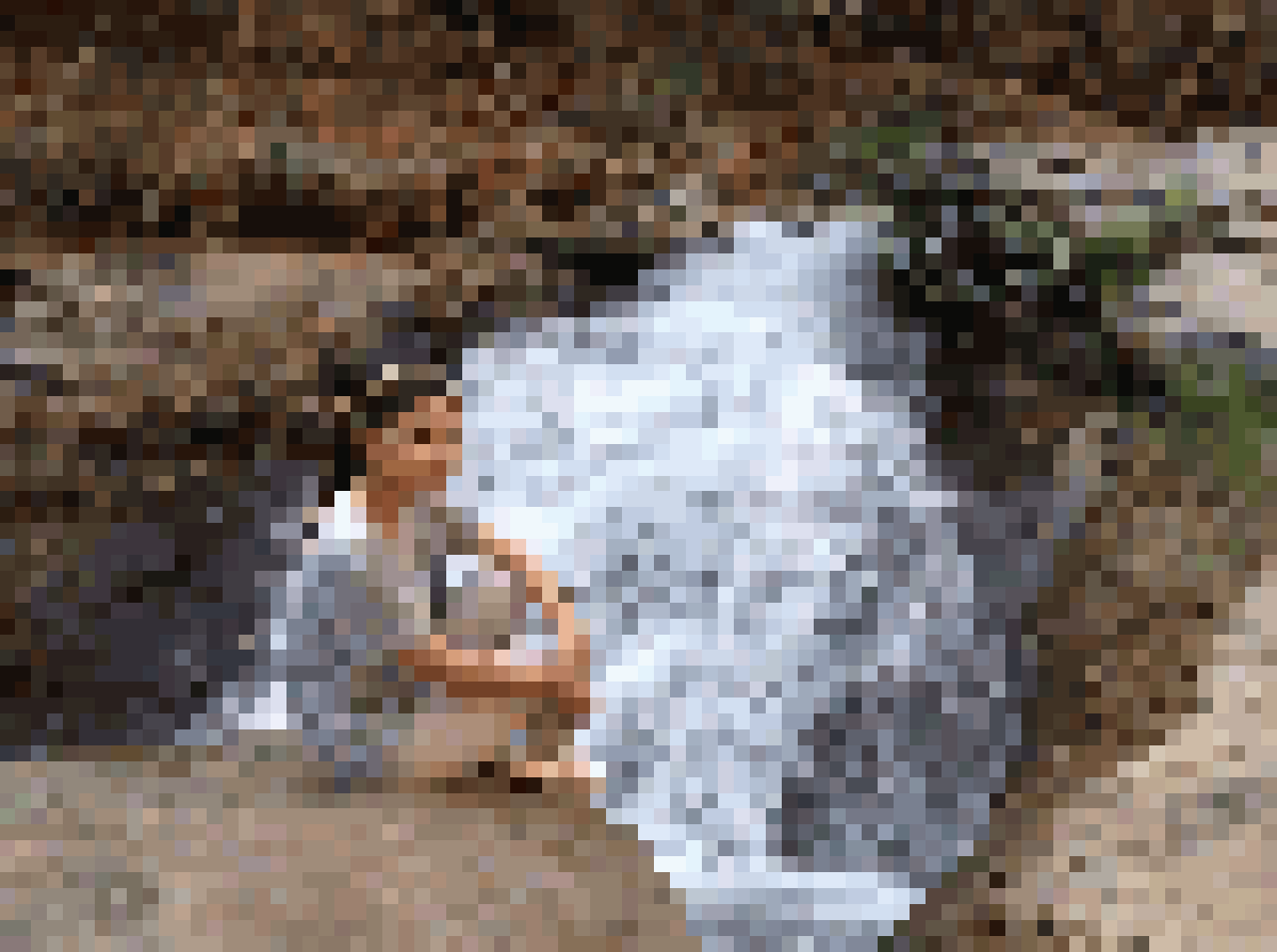Thai Dating