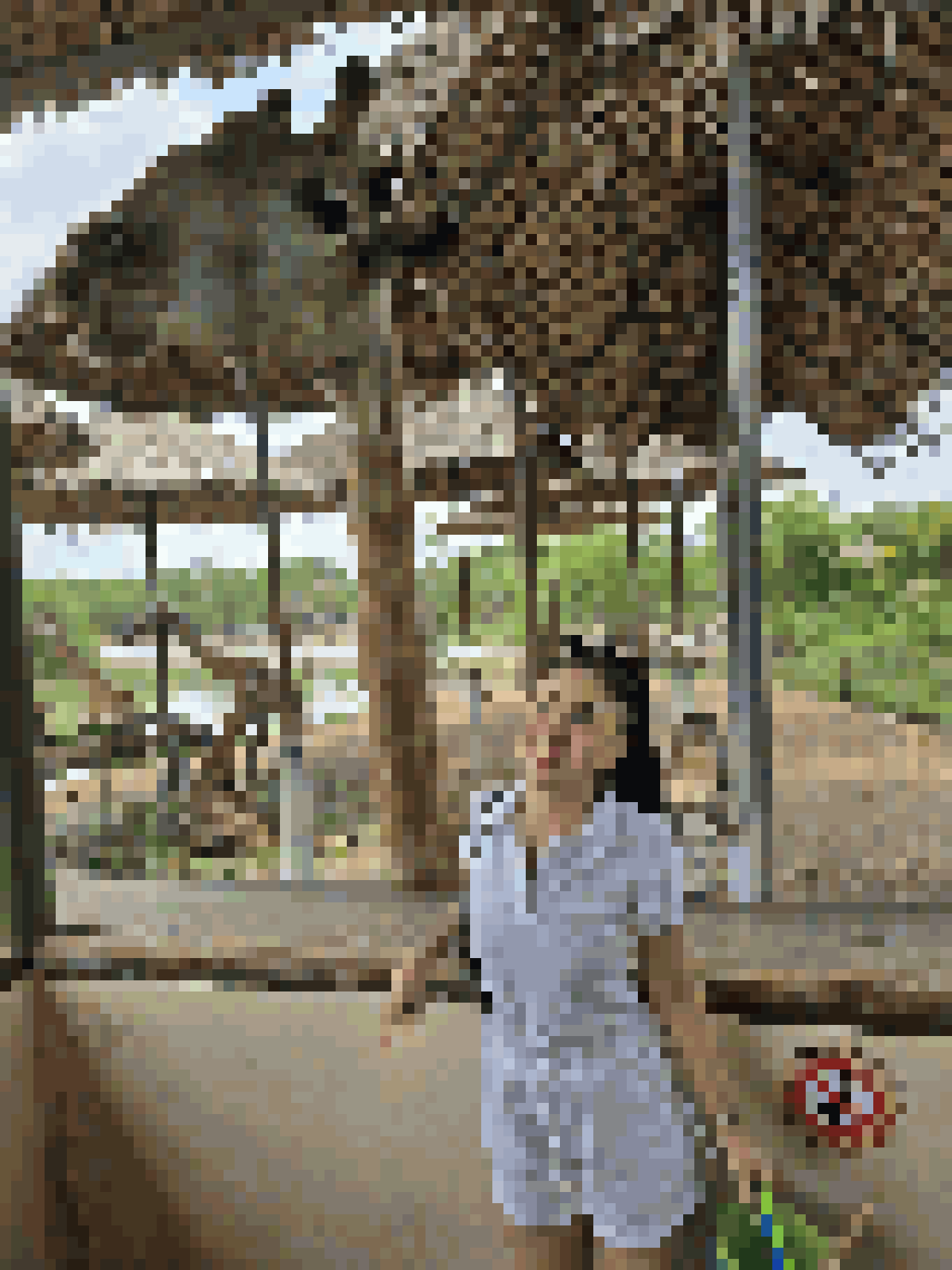 Thai Dating