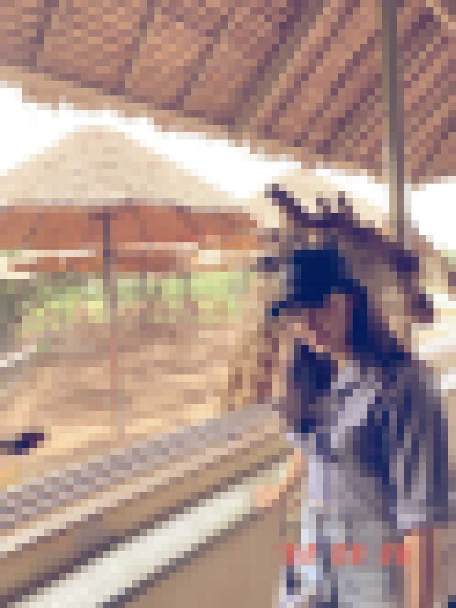 Thai Dating