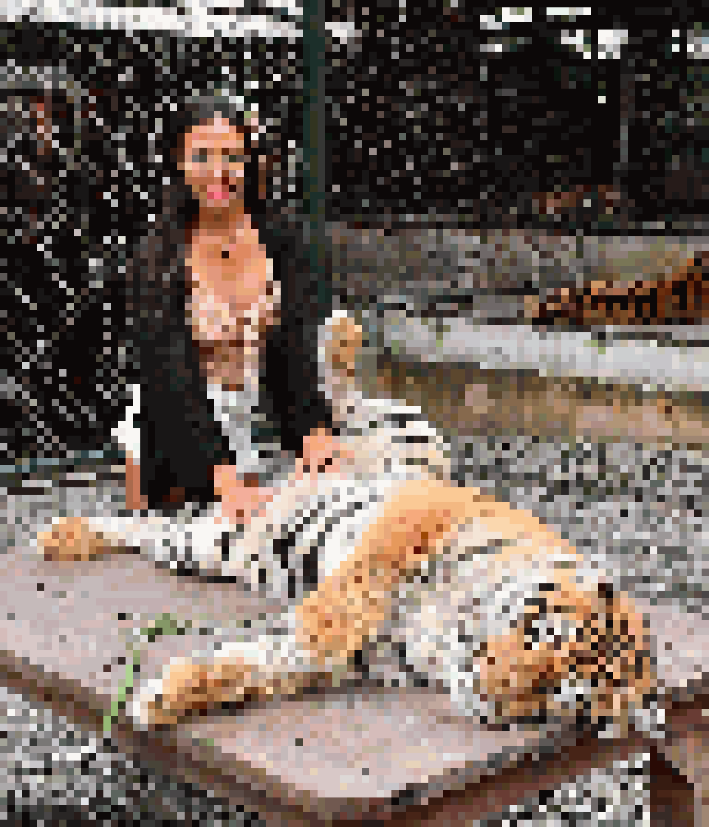 Ladyboy Dating