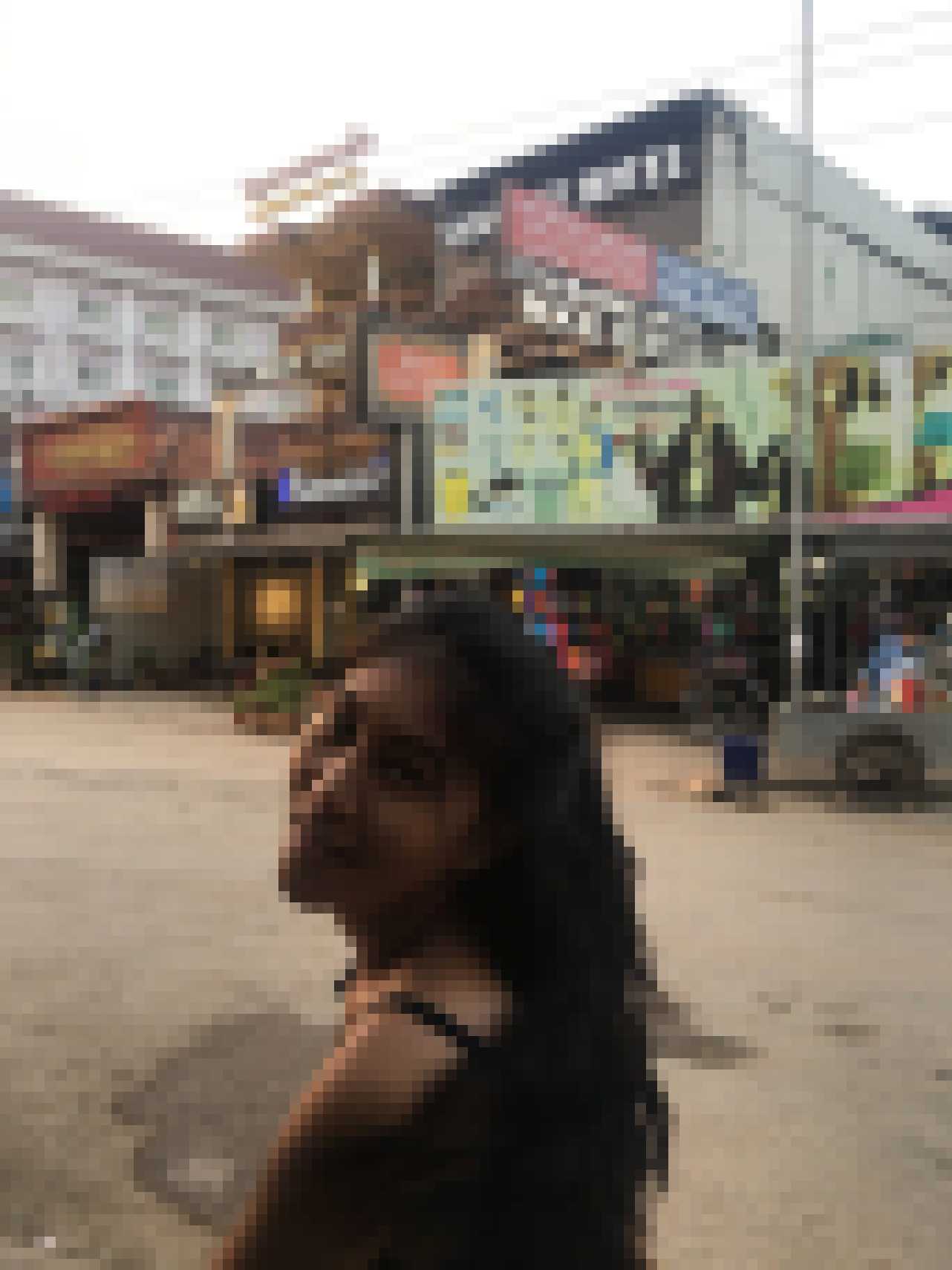 Thai Dating