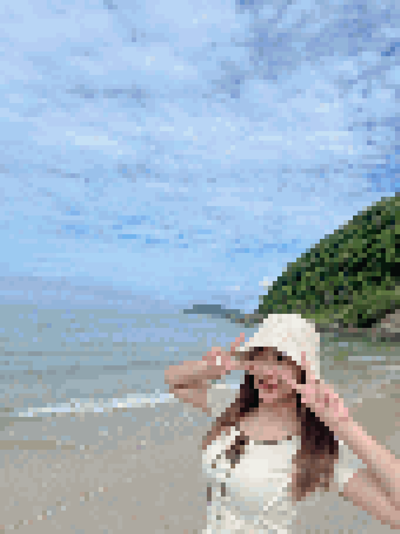 Thai Dating