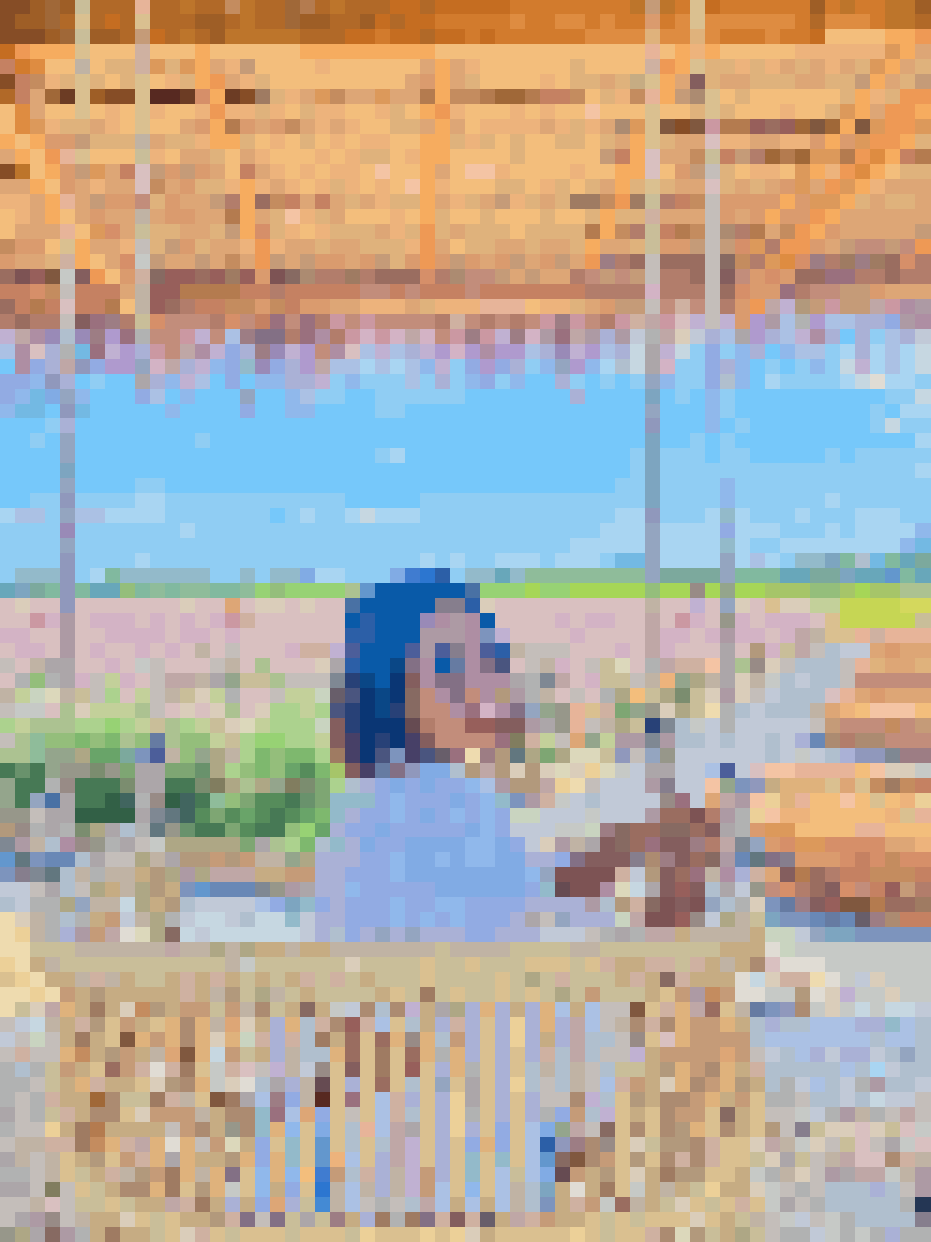 Thai Dating