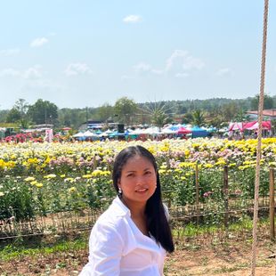 A Beautiful Thai Girl