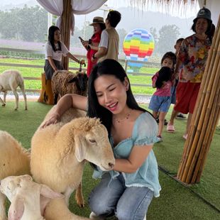 A Beautiful Thai Girl