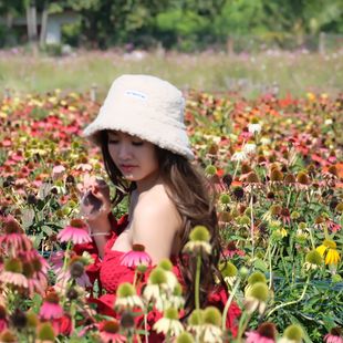 A Beautiful Thai Girl